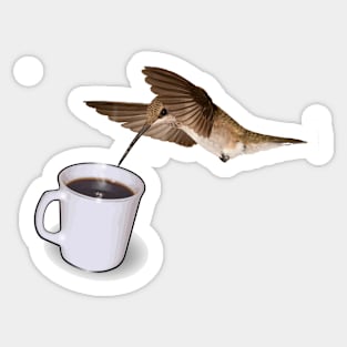 Hummingbird Drinking Coffee Sticker